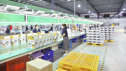 鹽城濱海 在產(chǎn)業(yè)攀高的賽道上奮力奔跑的家用電器產(chǎn)業(yè)